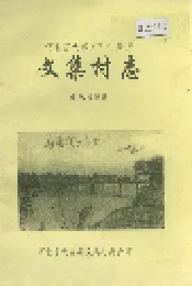 河北省大名县西付集乡文集村志