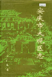 安庆市大观区志