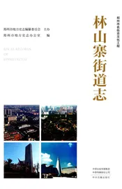 郑州市名镇志文化工程林山寨街道志