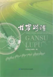 甘肃路谱