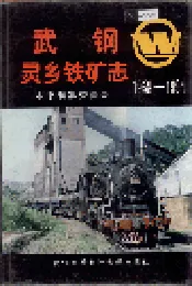 武钢灵乡铁矿志