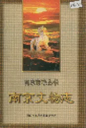 南京文物志