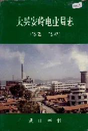 大兴安岭电业局志