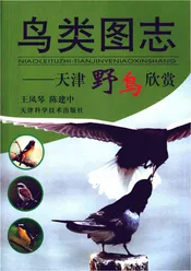 鸟类图志天津野鸟欣赏