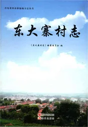 东大寨村志