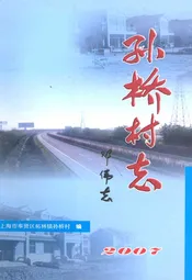 孙桥村志2007
