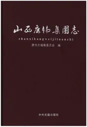 山西康伟集团志