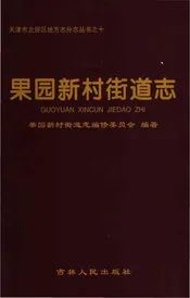 果园新村街道志