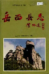 岳西县志