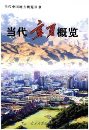 当代宁夏概览