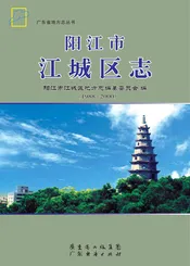 江城区志