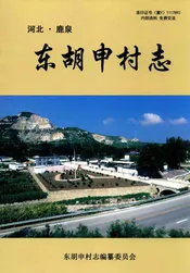 东胡申村志