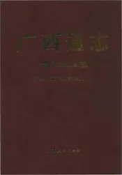 广西通志 电力工业志