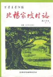 北杨家坡村志
