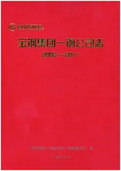 宝钢集团——钢公司志2002-2011