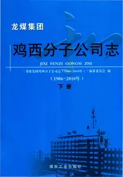 龙煤集团鸡西分子公司志下册