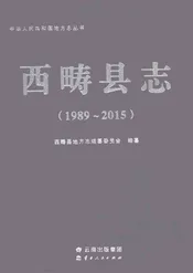 西畴县志1989-2015