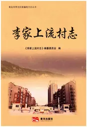 李家上流村志