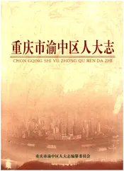 重庆市渝中区人大志