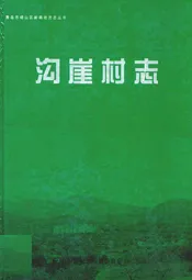 沟崖村志