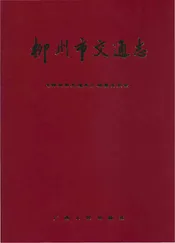 柳州市交通志