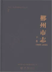 郴州市志1989-2005下