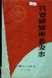 共青团辉南县委志