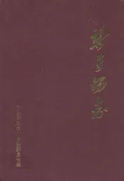 新星场志
