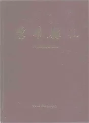 宁明县志1986-2005