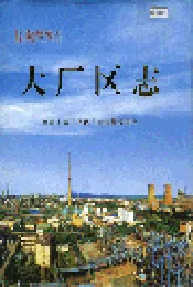 大厂区志