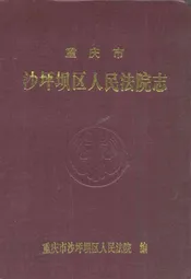 重庆市沙坪坝区人民法院志