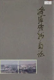 辽源矿务局志
