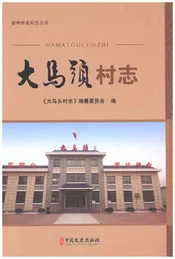 大马头村志