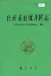 自贡市自流井区志