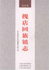 沈丘县槐店回族镇志