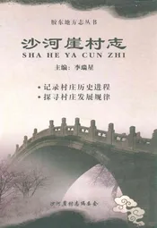 沙河崖村志