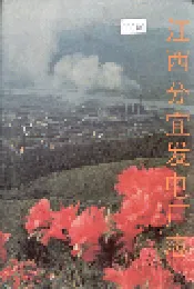 江西分宜发电厂志