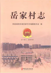 岳家村志