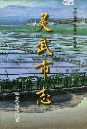 灵武市志