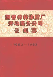 国营桦林橡胶厂劳动服务公司公司志(1963-1983)