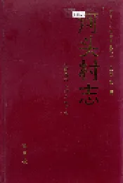 河头村志