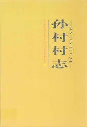 孙村村志