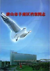 唐山市丰南区档案图志
