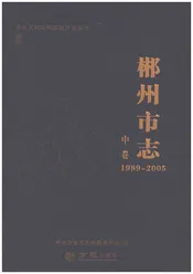 郴州市志1989-2005中