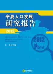 2012宁夏人口发展研究报告