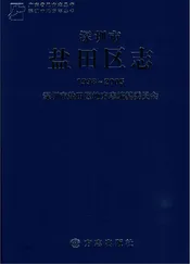 深圳市盐田区志（1998~2005）