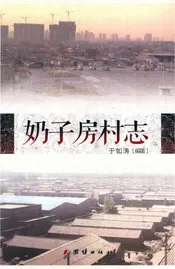 奶子房村志