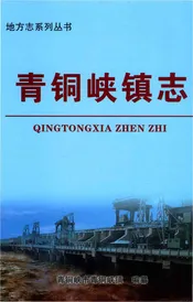 青铜峡镇志