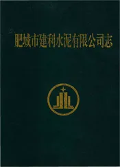 肥城市建利水泥有限公司志
