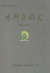 永锋集团志(2002-2011)